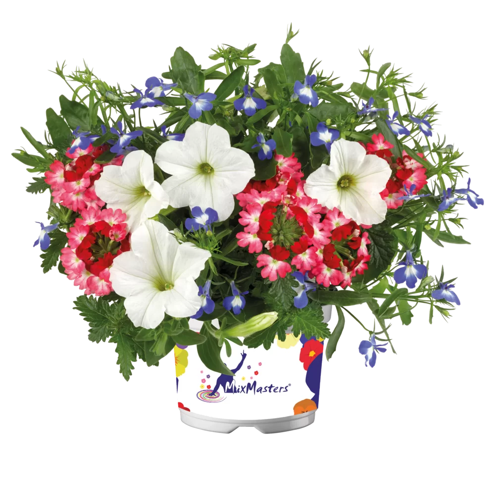 Multi specie MixMasters® Dutch Mountain