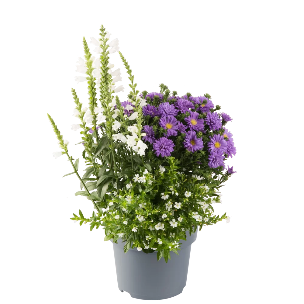 pflanztopf durchmesser 80 cm XXL Pflanzkübel / Pflanztopf „LIKE“ Ø 79 x H 69 cm - Weiß main image 0