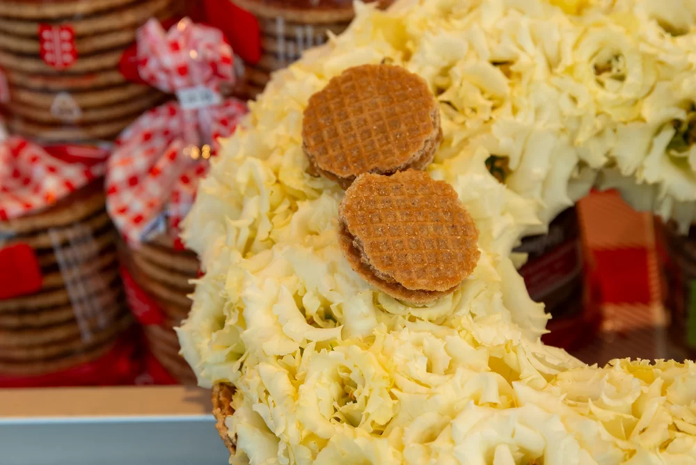 Lisianthus grandiflorum Alissa 2 Yellow Ver. 3