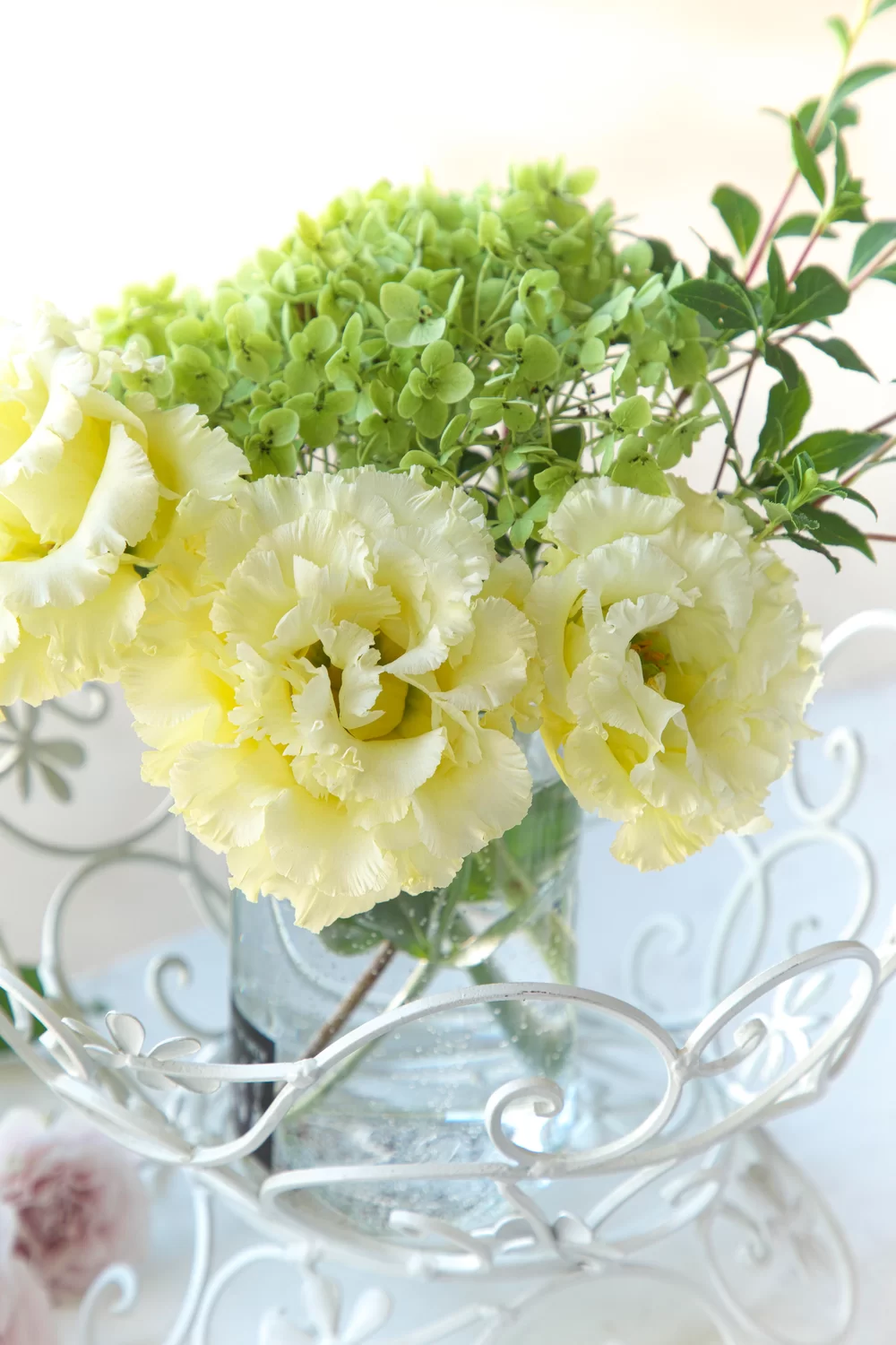 Lisianthus grandiflorum Corelli 1 Yellow