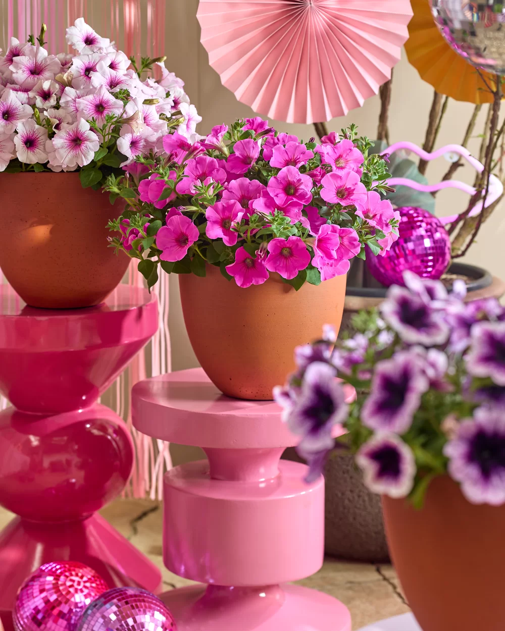 Petunia grandiflora GO!Tunia® Pink